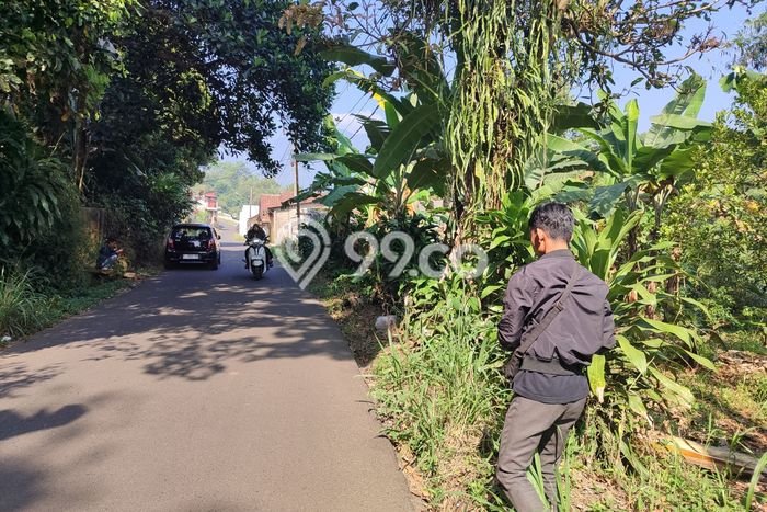 Lahan Investasi Lokasi Cijeruk Bogor SHM Lahan Investasi Lokasi Cijeruk Bogor SHM
