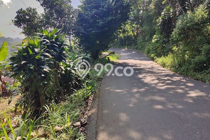 Lahan Investasi Lokasi Cijeruk Bogor SHM Lahan Investasi Lokasi Cijeruk Bogor SHM
