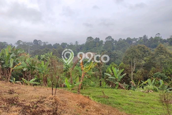 Tanah di Cibadak, Luas 20000m2m², Lokasi Strategis, Prospek Bagus Tanah di Cibadak, Luas 20000m2m², Lokasi Strategis, Prospek Bagus