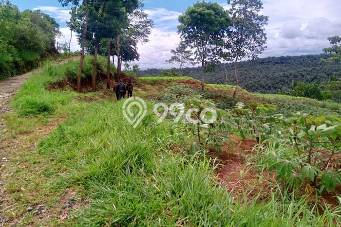 Untuk Dijual Tanah di Cibadak Sukabumi Luas 30010m2 SHM Untuk Dijual Tanah di Cibadak Sukabumi Luas 30010m2 SHM