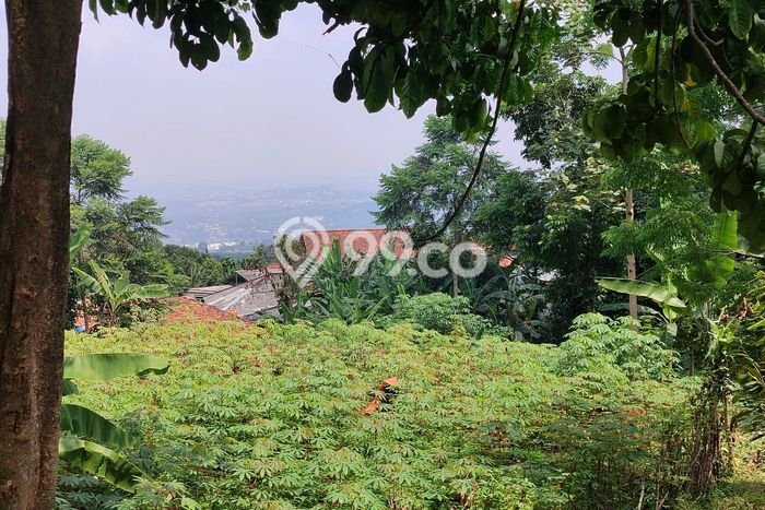 Kavling Tanah Dijual di Babakan Madang Bogor Spesifikasi 3100m2 Kavling Tanah Dijual di Babakan Madang Bogor Spesifikasi 3100m2
