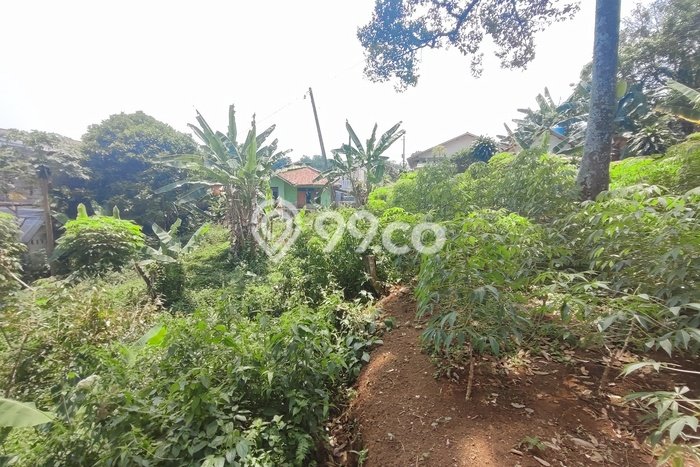 Kavling Tanah Dijual di Babakan Madang Bogor Spesifikasi 3100m2 Kavling Tanah Dijual di Babakan Madang Bogor Spesifikasi 3100m2