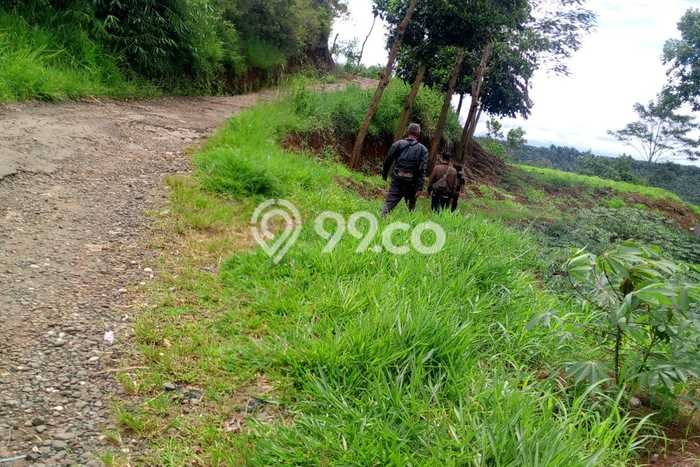 Untuk Dijual Tanah di Cibadak Sukabumi Luas 30010m2 SHM Untuk Dijual Tanah di Cibadak Sukabumi Luas 30010m2 SHM