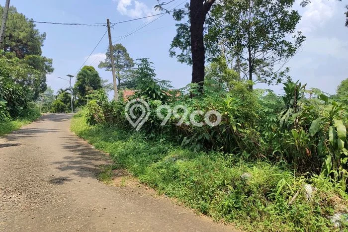 Dijual Tanah di Cijayanti, Luas 3000m², Lokasi Strategis, Kontur Datar Dijual Tanah di Cijayanti, Luas 3000m², Lokasi Strategis, Kontur Datar