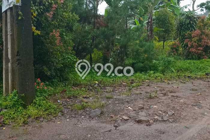 Kavling Tanah untuk Dijual di Sentul City, Bogor, Luas 1000m2 Kavling Tanah untuk Dijual di Sentul City, Bogor, Luas 1000m2