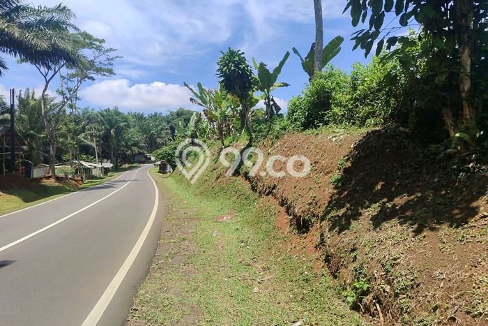 Tanah Kavling di Cibadak Dijual dengan Luas 14000m2 Tanah Kavling di Cibadak Dijual dengan Luas 14000m2