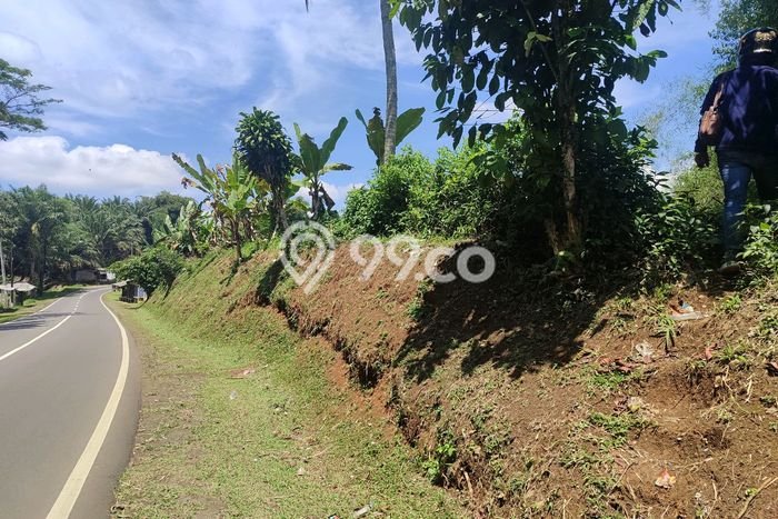 Tanah Kavling di Cibadak Dijual dengan Luas 14000m2 Tanah Kavling di Cibadak Dijual dengan Luas 14000m2