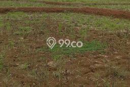 Tanah Dijual Lokasi Lippo Cikarang, Cikarang Luas 2000m2 Legalitas Aman Tanah Dijual Lokasi Lippo Cikarang, Cikarang Luas 2000m2 Legalitas Aman
