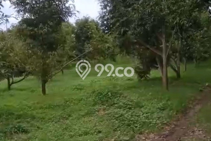Tanah di Serang, Serang Luas 100000m2 Dijual Segera Tanah di Serang, Serang Luas 100000m2 Dijual Segera