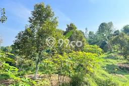 Lahan untuk Dijual di Jasinga Bogor Luas 23500m2 Lahan untuk Dijual di Jasinga Bogor Luas 23500m2