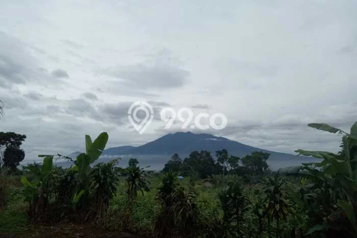 Vila Kawasan Ciawi, Luas 6500m2m², Cocok untuk beragam keperluan Vila Kawasan Ciawi, Luas 6500m2m², Cocok untuk beragam keperluan
