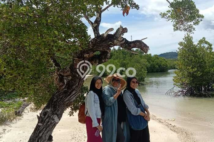 Tanah untuk Dijual Lokasi Punduh Pidada, Pesawaran Luas 23000m2 SHM Tanah untuk Dijual Lokasi Punduh Pidada, Pesawaran Luas 23000m2 SHM