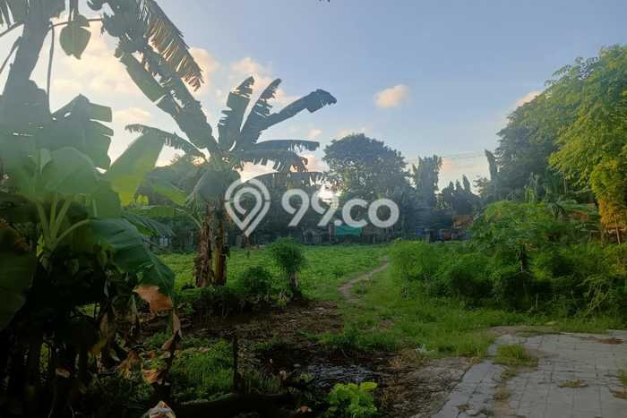 Kavling Tanah untuk Dijual di Teluk Naga, Tangerang, Luas 4255m2 Kavling Tanah untuk Dijual di Teluk Naga, Tangerang, Luas 4255m2