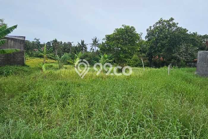 Lahan Dijual Lokasi Strategis di Tabanan dengan Luas 2280m2 Lahan Dijual Lokasi Strategis di Tabanan dengan Luas 2280m2