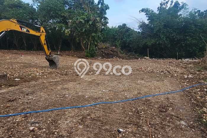 Tanah Kavling Dijual di Badung dengan Spesifikasi 1530m2 Tanah Kavling Dijual di Badung dengan Spesifikasi 1530m2