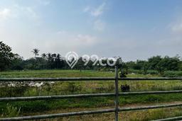 LOKASI STRATEGIS! Tanah Kawasan Panimbang, Luas 50000m², Area Asri, Cocok untuk Hunian LOKASI STRATEGIS! Tanah Kawasan Panimbang, Luas 50000m², Area Asri, Cocok untuk Hunian