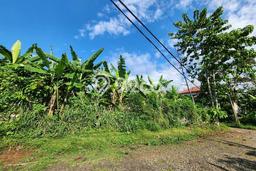 Tanah Kavling Dijual di Pamoyanan, Bogor dengan Luas Tanah 200m2 Tanah Kavling Dijual di Pamoyanan, Bogor dengan Luas Tanah 200m2