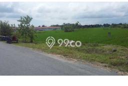Lahan untuk Dijual Lokasi Percut Sei Tuan, Deli Serdang Luas 1.1094e+08m2 SHM Lahan untuk Dijual Lokasi Percut Sei Tuan, Deli Serdang Luas 1.1094e+08m2 SHM