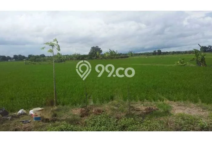 Lahan untuk Dijual Lokasi Percut Sei Tuan, Deli Serdang Luas 1.1094e+08m2 SHM Lahan untuk Dijual Lokasi Percut Sei Tuan, Deli Serdang Luas 1.1094e+08m2 SHM