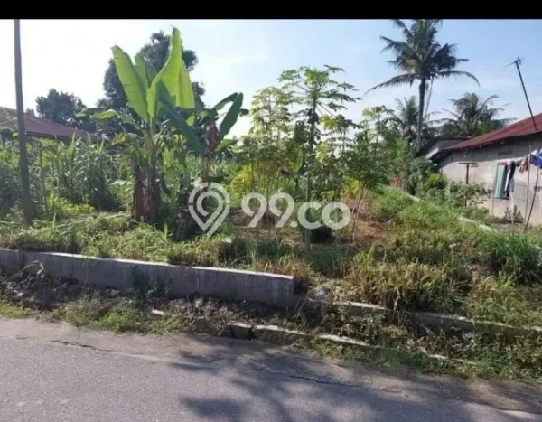 Kavling Tanah di Sunggal Dijual Luas 306m2 Legalitas - Kavling Tanah di Sunggal Dijual Luas 306m2 Legalitas -