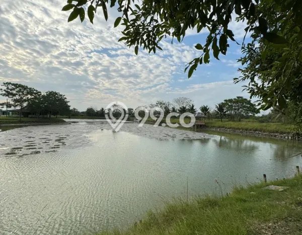 Tanah untuk Dijual di Percut Sei Tuan Deli Serdang Luas 160000m2 Tanah untuk Dijual di Percut Sei Tuan Deli Serdang Luas 160000m2