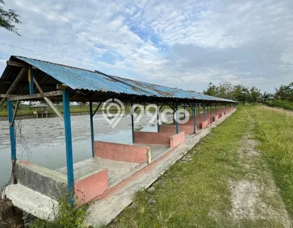 Tanah untuk Dijual di Percut Sei Tuan Deli Serdang Luas 160000m2 Tanah untuk Dijual di Percut Sei Tuan Deli Serdang Luas 160000m2