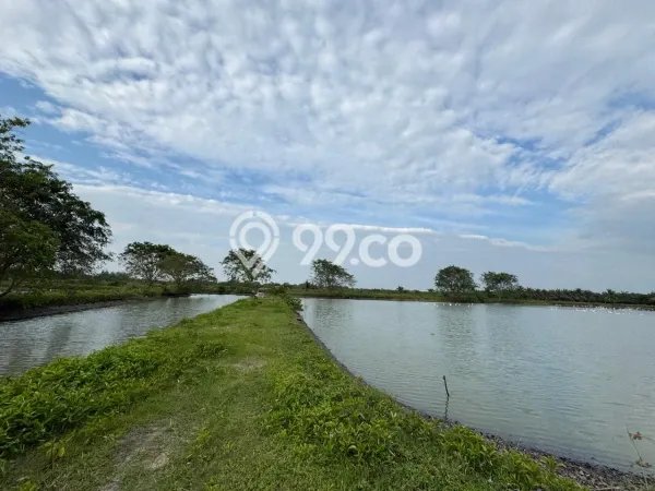 Tanah untuk Dijual di Percut Sei Tuan Deli Serdang Luas 160000m2 Tanah untuk Dijual di Percut Sei Tuan Deli Serdang Luas 160000m2