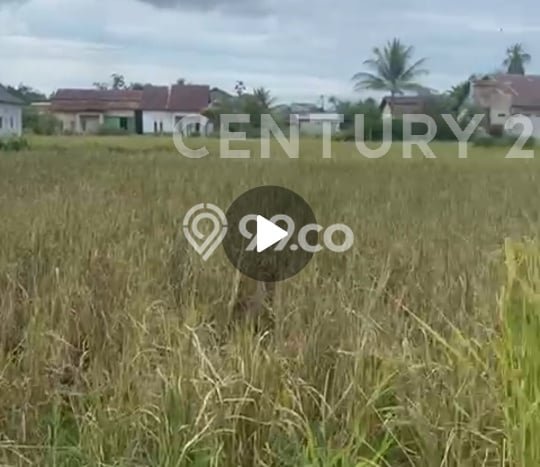 Tanah Premium di Kubu, Luas 200m2m², Cocok untuk Investasi Tanah Premium di Kubu, Luas 200m2m², Cocok untuk Investasi