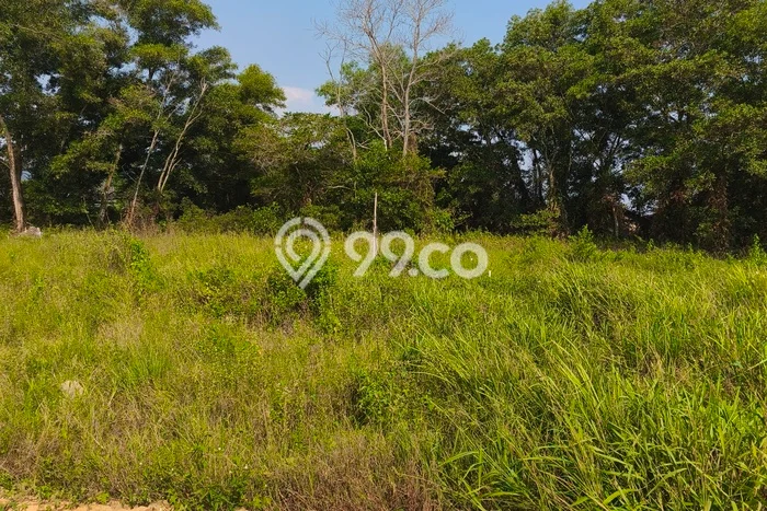 PRIME LOCATION! Tanah Kawasan Singkawang Selatan, Luas 90m², Cocok untuk Investasi PRIME LOCATION! Tanah Kawasan Singkawang Selatan, Luas 90m², Cocok untuk Investasi