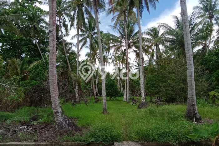 Tanah di , Luas 10296m2m², Akses Jalan Raya Tanah di , Luas 10296m2m², Akses Jalan Raya