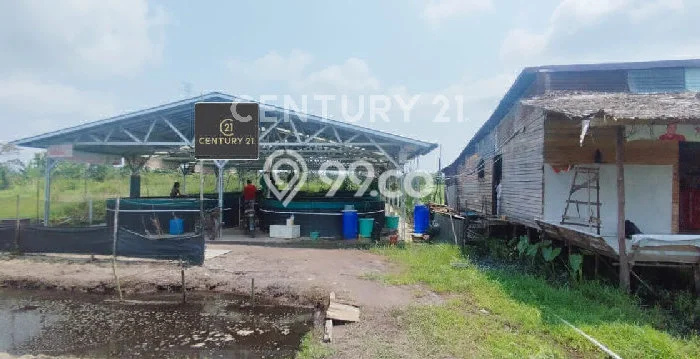 Tanah Kawasan Siantan, Luas 880m², Area Potensial, Lingkungan Nyaman, Kontur Datar Tanah Kawasan Siantan, Luas 880m², Area Potensial, Lingkungan Nyaman, Kontur Datar