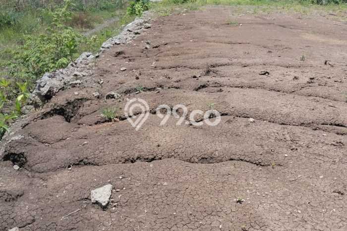 Tanah Disewakan Lokasi Pererenan Badung Luas 900m2 Tanah Disewakan Lokasi Pererenan Badung Luas 900m2