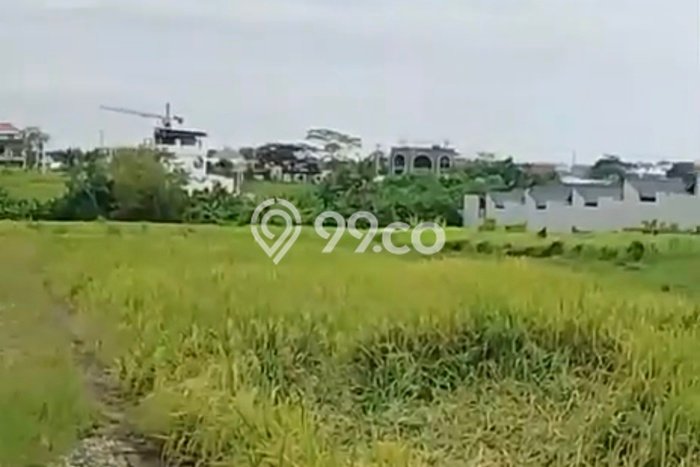 Lahan Disewakan Lokasi Seseh Badung Luas 600m2 Lahan Disewakan Lokasi Seseh Badung Luas 600m2