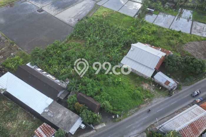 Tanah Disewakan Lokasi Badung Seluas 1500m2 Strategis dan Aman Tanah Disewakan Lokasi Badung Seluas 1500m2 Strategis dan Aman