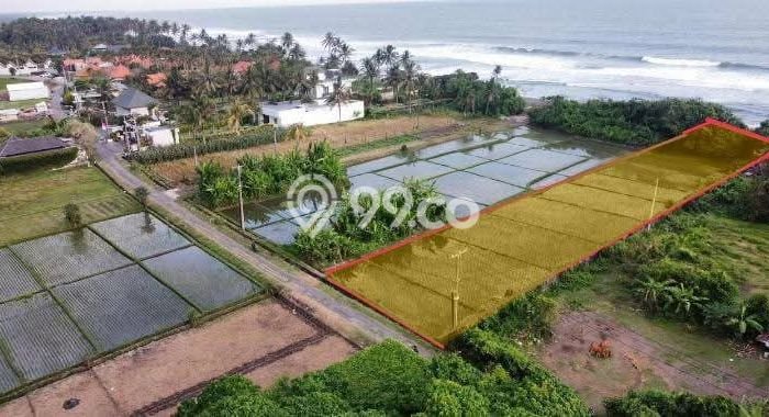 Tanah Disewa di Tibubiyu Strategis dan Memiliki Luas 1900m2 Tanah Disewa di Tibubiyu Strategis dan Memiliki Luas 1900m2