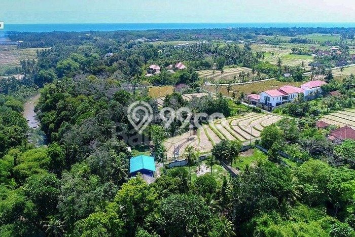 Tanah Dijual Area Strategis di Beraban Tabanan 1750m2 Tanah Dijual Area Strategis di Beraban Tabanan 1750m2