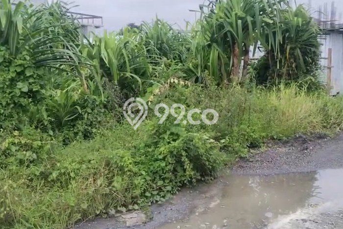 Tanah Disewakan Lokasi Badung Seluas 1300m2 Strategis dan Aman Tanah Disewakan Lokasi Badung Seluas 1300m2 Strategis dan Aman