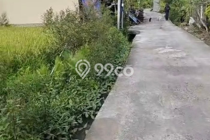 Disewakan Tanah di Badung, Luas 1000m2 Area Berkembang Disewakan Tanah di Badung, Luas 1000m2 Area Berkembang