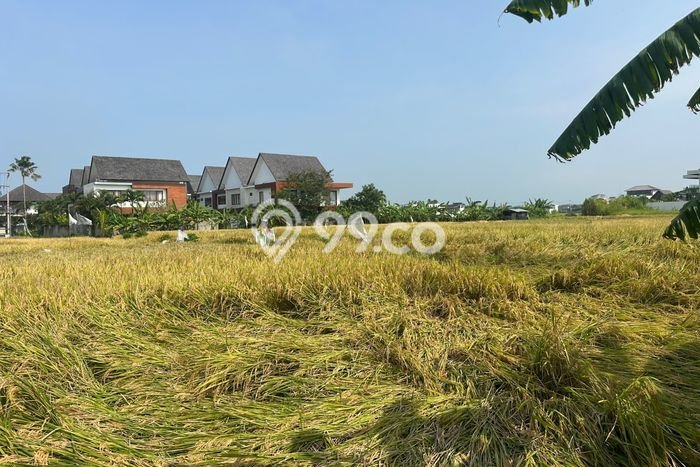 Tanah untuk Disewa di Badung Luas 2900m2 Tanah untuk Disewa di Badung Luas 2900m2