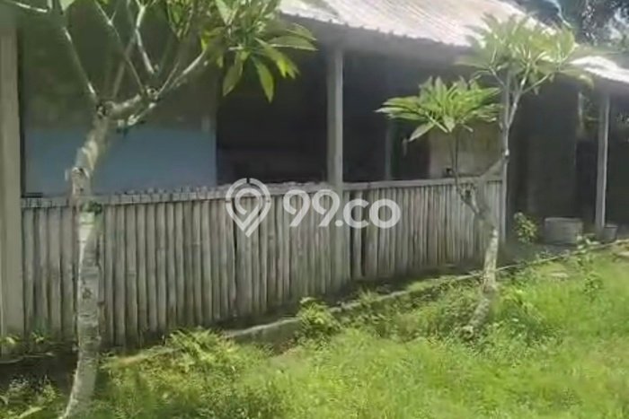 Disewakan! Rumah 2 Kamar Tidur &
2 Kamar Mandi di Cepaka, Tabanan Disewakan! Rumah 2 Kamar Tidur &
2 Kamar Mandi di Cepaka, Tabanan