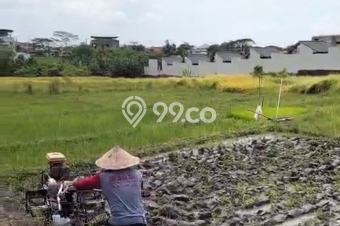 Tanah untuk Disewa di Badung Luas 1500m2 Tanah untuk Disewa di Badung Luas 1500m2