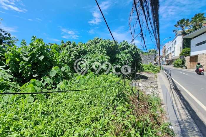 Tanah Kavling Disewakan di Canggu dengan Luas 2400m2 Tanah Kavling Disewakan di Canggu dengan Luas 2400m2