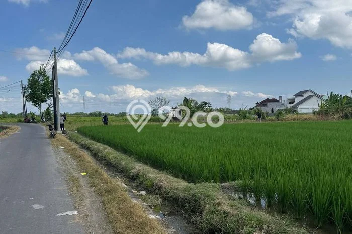Disewakan Tanah di Kaba kaba Tabanan Seluas 2000m2 Disewakan Tanah di Kaba kaba Tabanan Seluas 2000m2