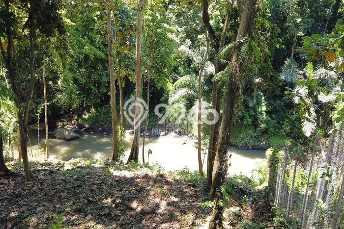 Tanah untuk Disewa di Tabanan Luas 3300m2 Tanah untuk Disewa di Tabanan Luas 3300m2