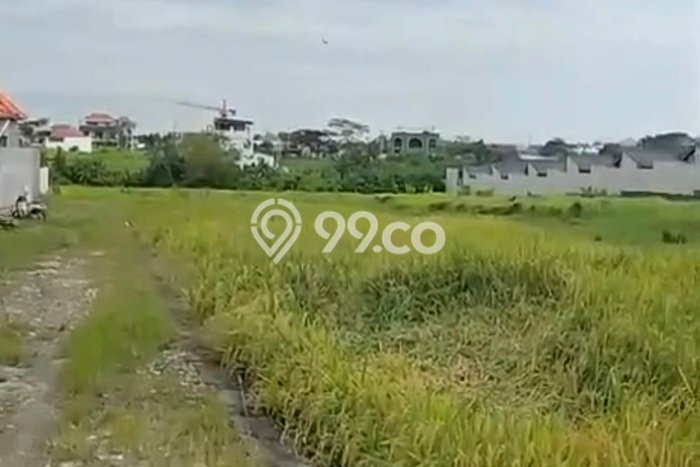 Lahan Disewakan Lokasi Seseh Badung Luas 600m2 Lahan Disewakan Lokasi Seseh Badung Luas 600m2