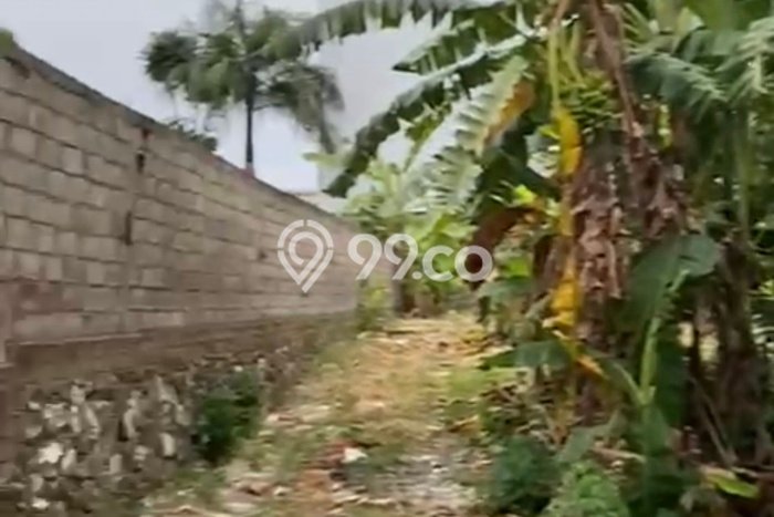 Untuk Disewa Tanah di Badung, Luas 1000m2 Area Berkembang Untuk Disewa Tanah di Badung, Luas 1000m2 Area Berkembang