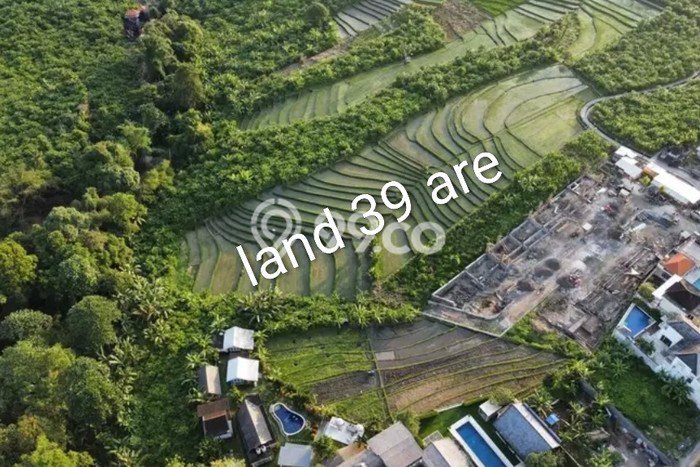 Tanah Disewakan Lokasi Badung Seluas 3900m2 Strategis dan Aman Tanah Disewakan Lokasi Badung Seluas 3900m2 Strategis dan Aman