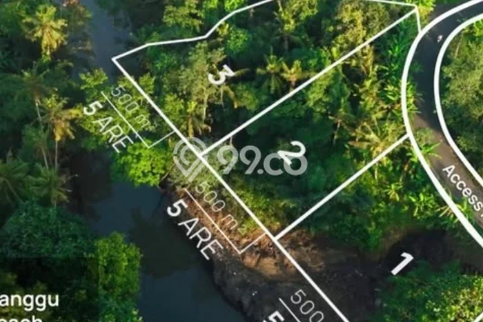 Tanah Disewakan Lokasi Tabanan Seluas 500m2 Strategis dan Aman Tanah Disewakan Lokasi Tabanan Seluas 500m2 Strategis dan Aman