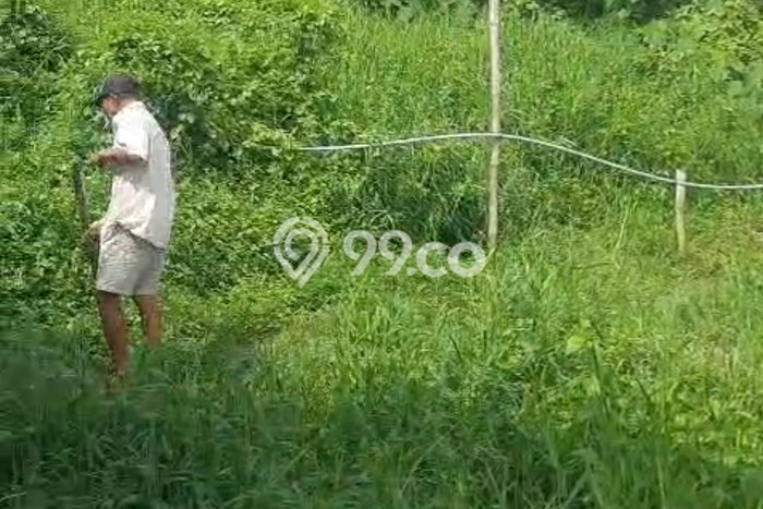 Tanah untuk Disewa di Tabanan Luas 1000m2 Tanah untuk Disewa di Tabanan Luas 1000m2