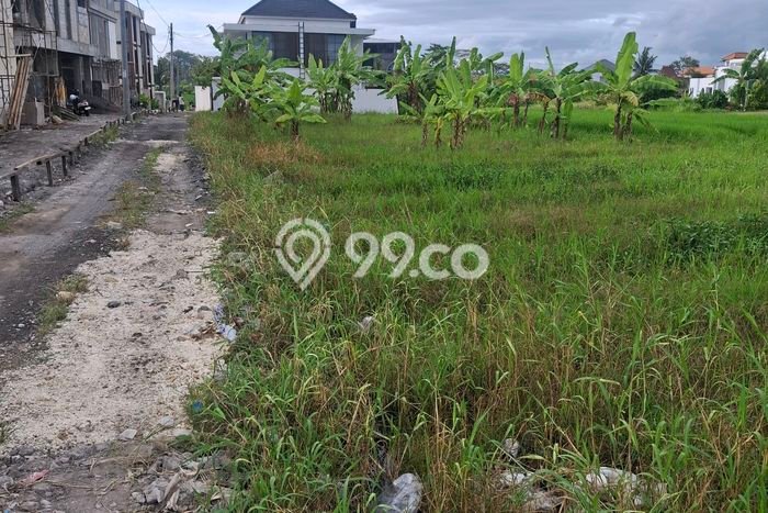 Tanah Disewakan Lokasi Badung Seluas 1500m2 Strategis dan Aman Tanah Disewakan Lokasi Badung Seluas 1500m2 Strategis dan Aman